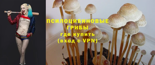 мескалин Новокубанск