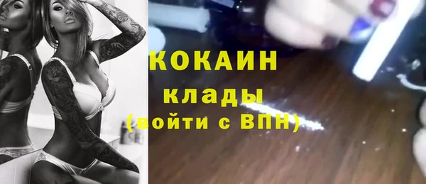 винт Новозыбков