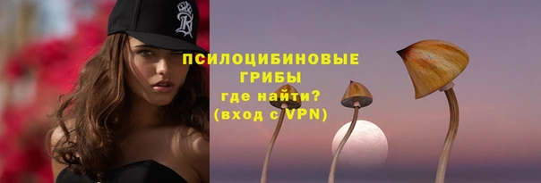 таблы Новодвинск