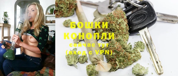 винт Новозыбков