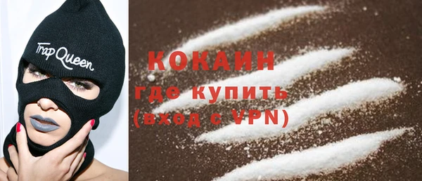 гидра Бородино