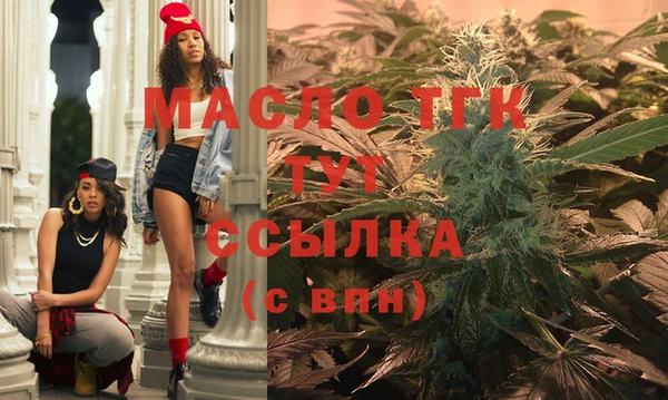 индика Чегем